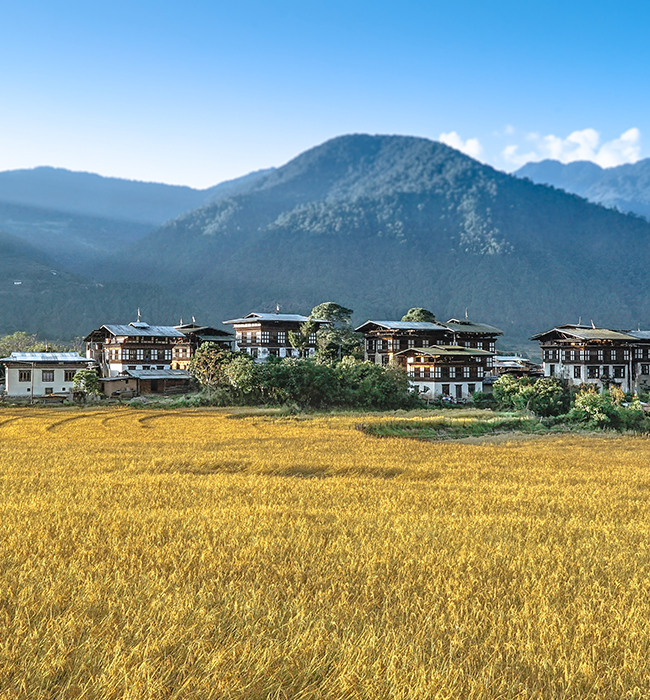 know bhutan